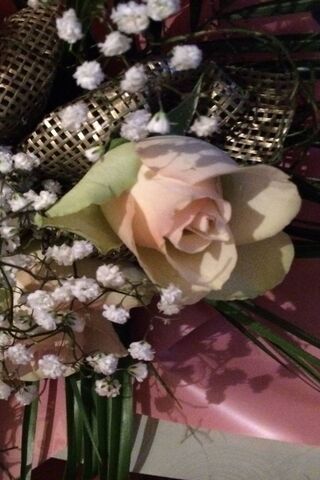 Whispers of Elegance: T..