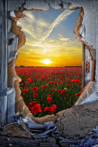 Through the Cracks of N..