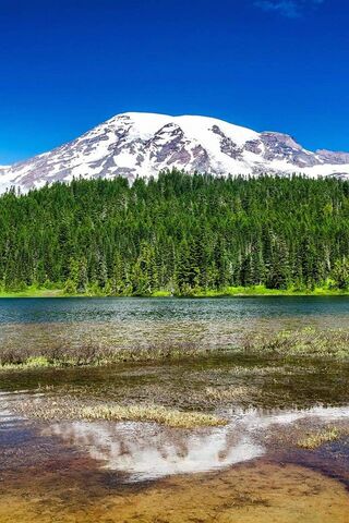 Tranquil Reflections of Nature 🌲🏔️