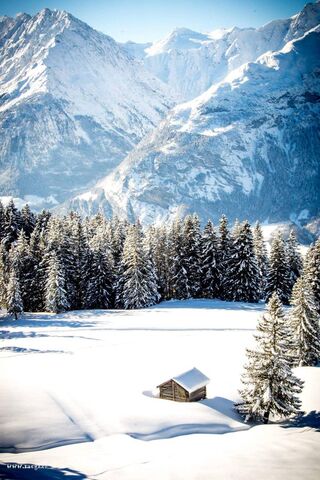 Serenity in the Snow: Mountain Hide-Away