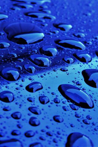 Blue Serenity: The Art ..