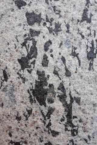 The Beauty of Concrete: Nature's Artistry