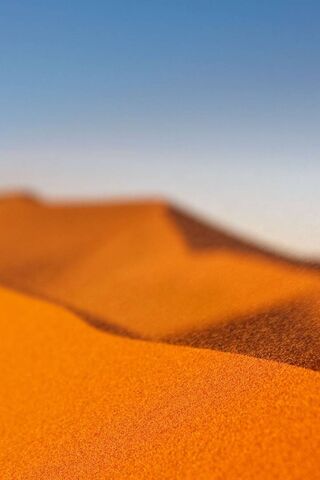 Golden Dunes: Nature's ..