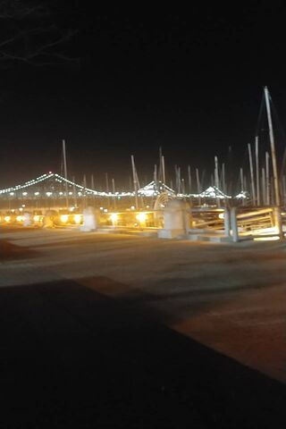 The Bay Bridge