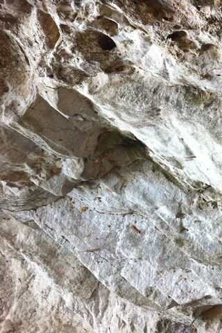 Nature's Masterpiece: The Wall of Rock