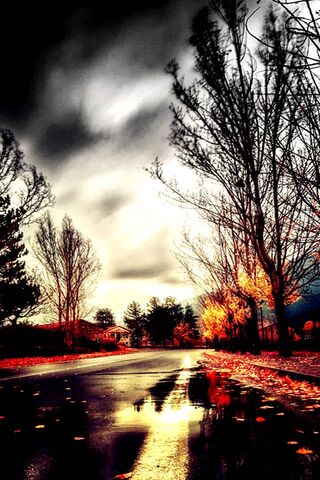 Journey Through the Frosty Path ❄️🌲