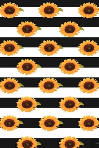 Sunny Stripes Delight 🌻✨