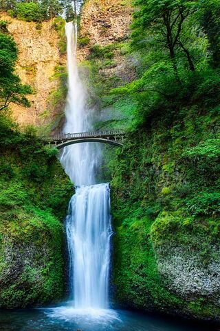 Nature's Cascade: The Majestic Waterfall