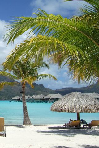 Paradise Found: Bora Bora Bliss 🌴🌊