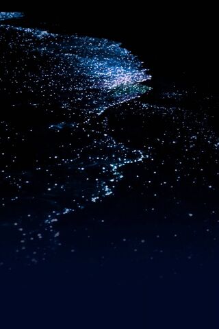 Starlit Serenity: Nature's Nighttime Canvas ✨🌌