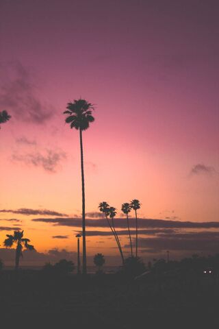 Tropical Twilight Bliss..