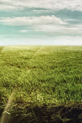 Endless Green Serenity 🌿✨