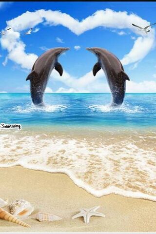 Dolphin Love: A Heartfe..