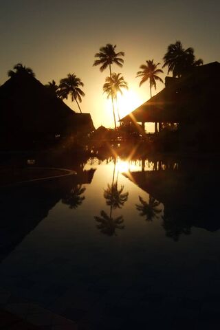 Golden Dawn: A Tropical Awakening 🌅