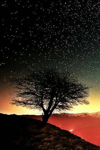 Celestial Dreams: A Starry Night