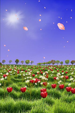 Blooming Serenity: A Fi..