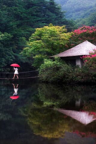 Serenity in Nature 🌿☂️