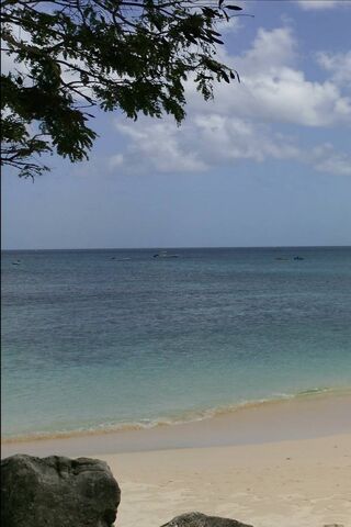 Paradise Awaits: Discover Barbados Beach 🌴🌊