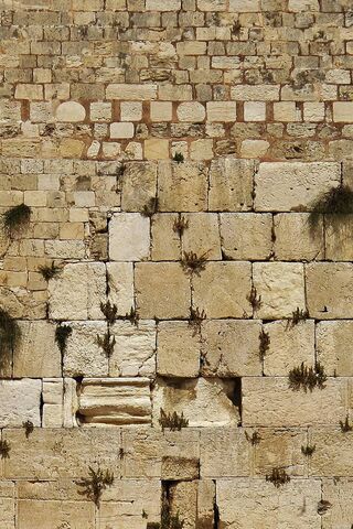 Whispers of History: The Wailing Wall