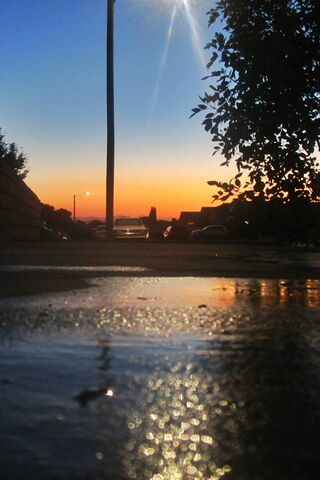 Reflections of Dusk: A Sidewalk's Story
