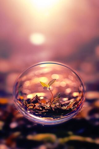 Whispers of Nature in a..