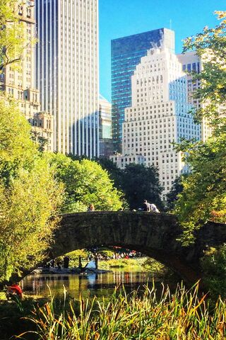 Serenity Amidst the City: Central Park's Hidden Gem 🌳🏙️
