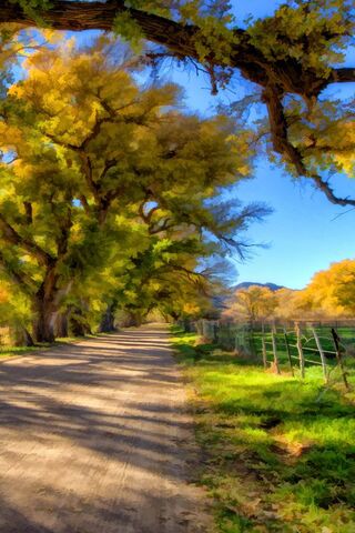 Autumn Serenity on the Country Road 🍂🚶