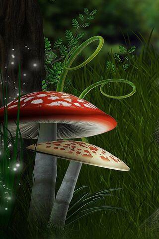 Enchanted Red Mushroom ..