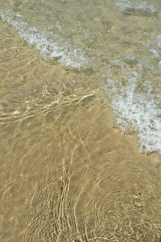 Serenity in Shimmering Waters 🌊✨