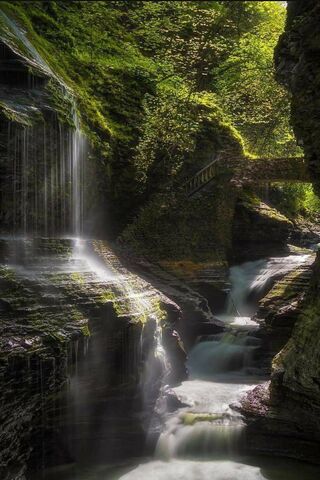 Whispers of the Waterfa..