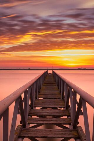 Golden Horizon: A Sunset Journey 🌅