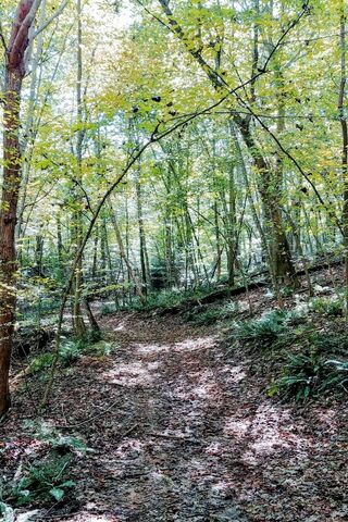 Covered Path