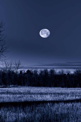 แสงจันทร์กลางคืน