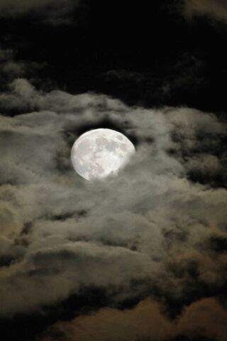 Celestial Wonder: The S..