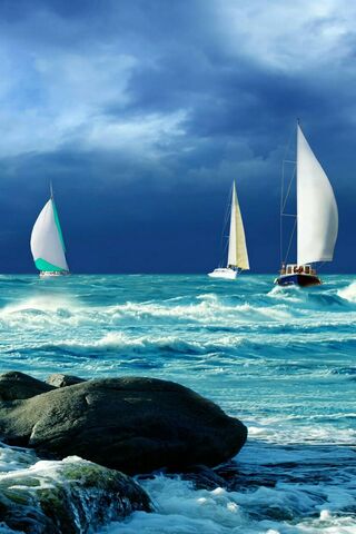 Sailing Serenity: A Dance on the Waves 🌊⛵