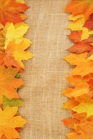 Autumn's Golden Embrace..