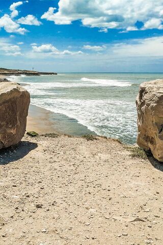 Miramar Forest: Where Land Meets Sea 🌊🌳