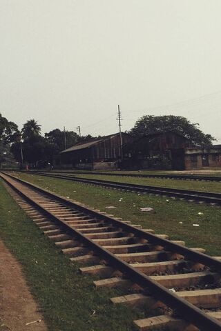 Journey Through Time: The Forgotten Rail Road 🚂🌿