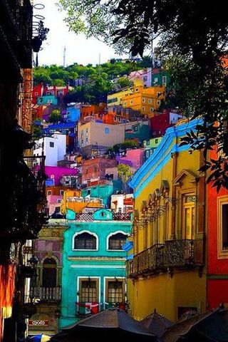 Colorful Houses