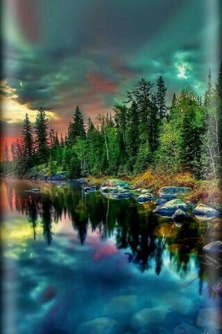 Nature's Majestic Canvas 🌅🌲