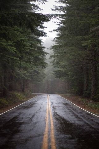 Sad Road