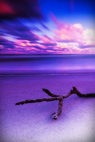 Twilight Serenity: A Coastal Dream 🌅✨