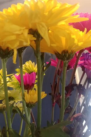 Blooming Joy: A Floral Delight 🌼🌸