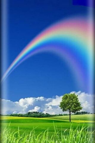 Chasing Rainbows 🌈