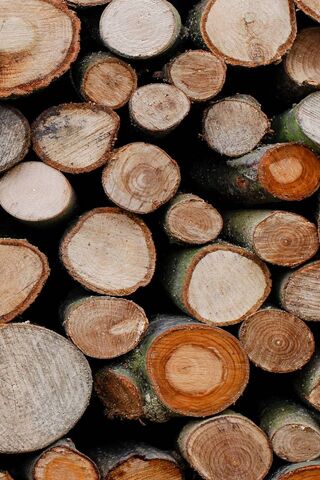 Nature's Stacked Treasures: A Log Collection
