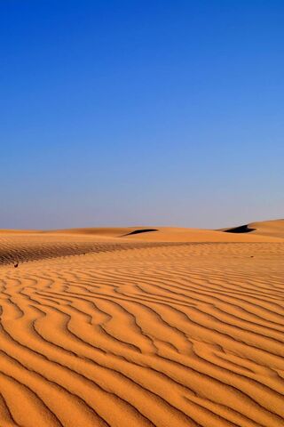 Waves of Sand: The Sere..
