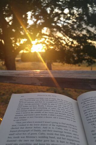 Sunset Serenity: A Moment of Peace