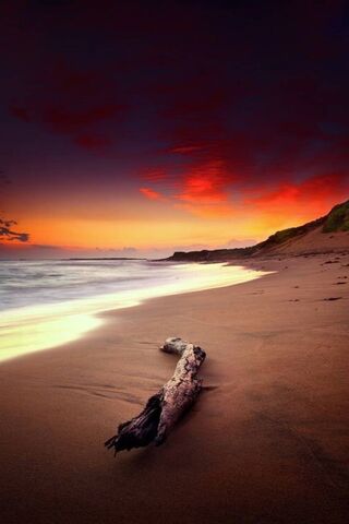 Serenity at Dusk: A Bea..