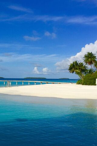 Tropical Paradise Escape 🌴🌊