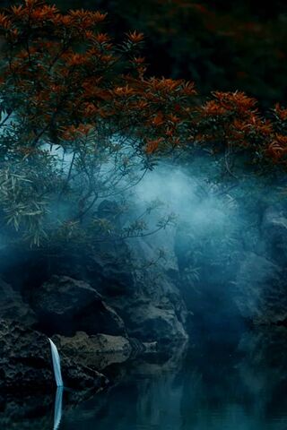 Nature